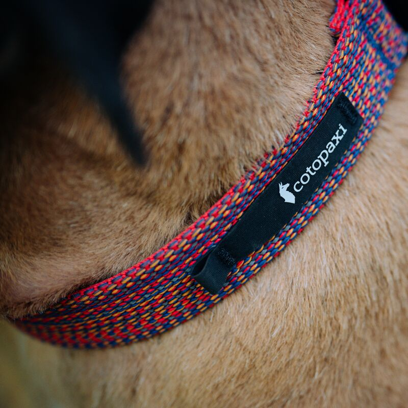 Del D??a Dog Collar - Image 5