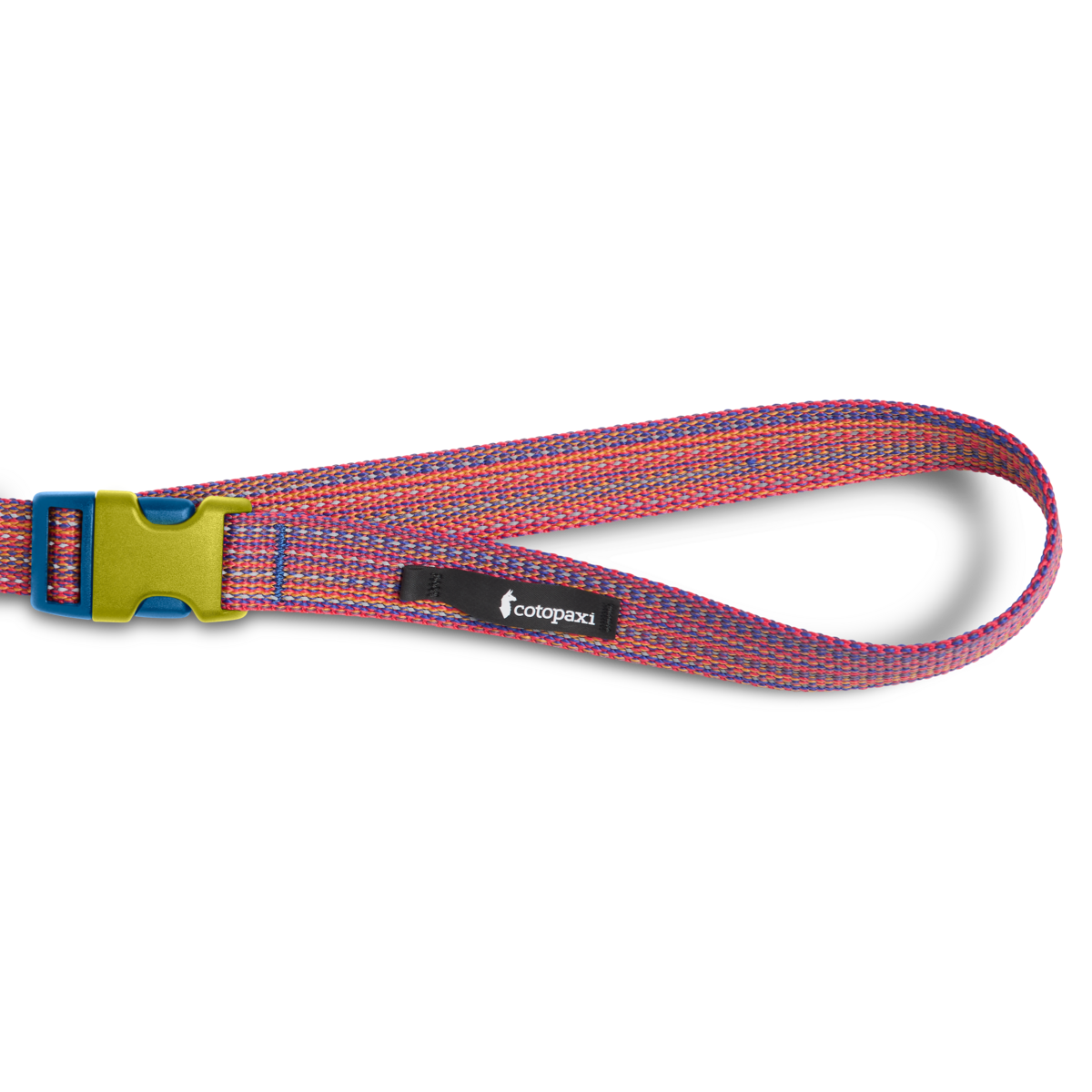 Del Día Dog Leash - Image 2